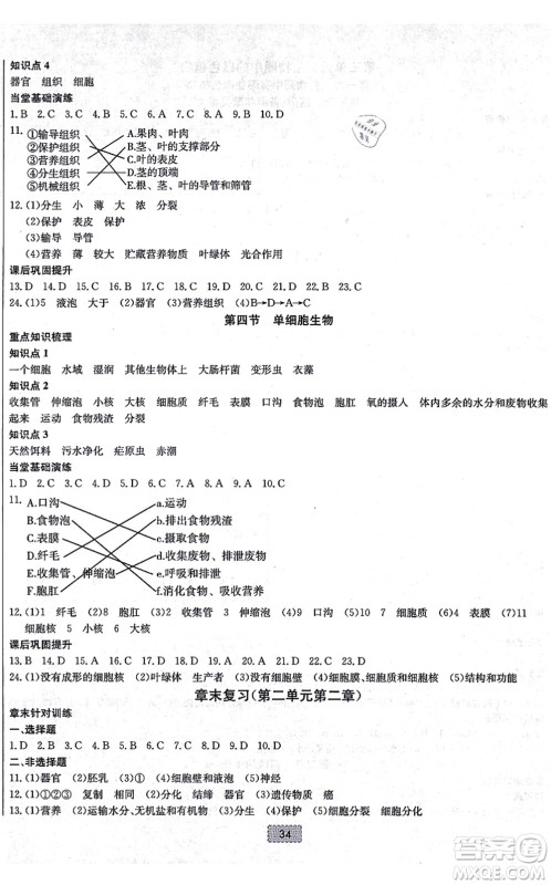 辽宁少年儿童出版社2021练重点七年级生物上册RJ人教版河南专版答案