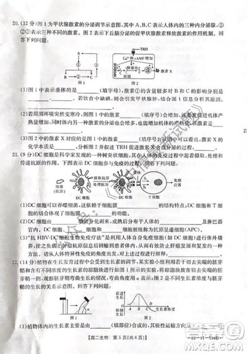 2021年河北金太阳高二12月联考生物试题及答案 2021年河北金太阳高二12月联考生物试题及答案