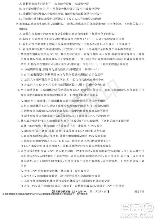 九师联盟2022届新高考高三核心模拟卷上生物一试题及答案 九师联盟2022届新高考高三核心模拟卷上生物一试题及答案