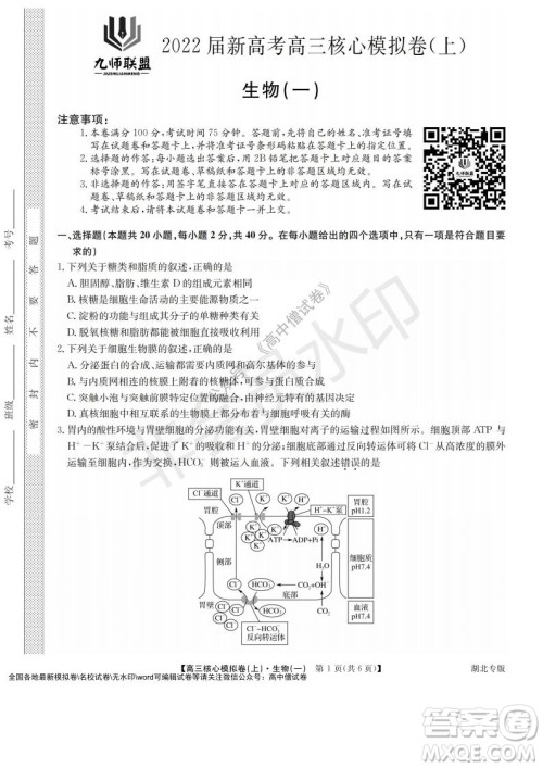 九师联盟2022届新高考高三核心模拟卷上生物一试题及答案