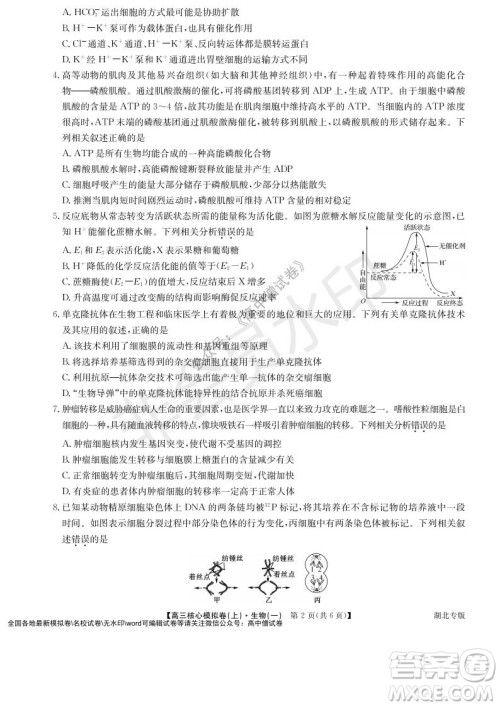 九师联盟2022届新高考高三核心模拟卷上生物一试题及答案 九师联盟2022届新高考高三核心模拟卷上生物一试题及答案
