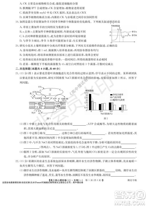 九师联盟2022届新高考高三核心模拟卷上生物一试题及答案 九师联盟2022届新高考高三核心模拟卷上生物一试题及答案