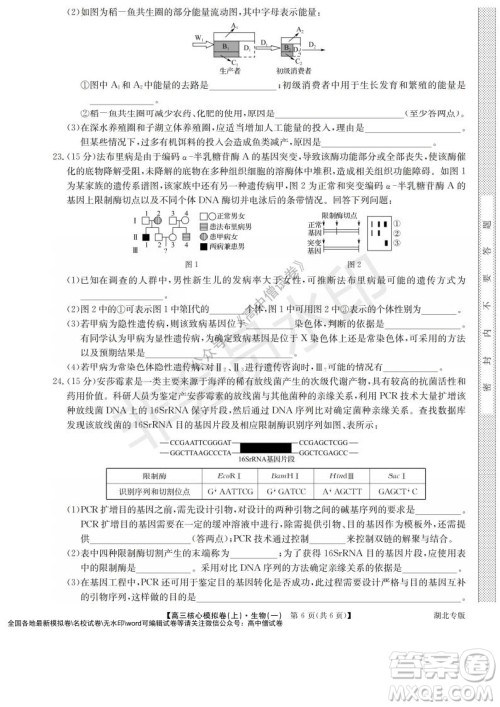九师联盟2022届新高考高三核心模拟卷上生物一试题及答案 九师联盟2022届新高考高三核心模拟卷上生物一试题及答案