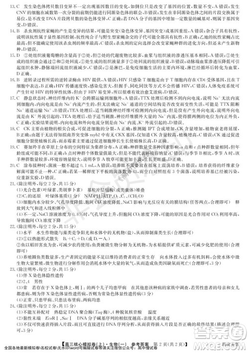 九师联盟2022届新高考高三核心模拟卷上生物一试题及答案 九师联盟2022届新高考高三核心模拟卷上生物一试题及答案
