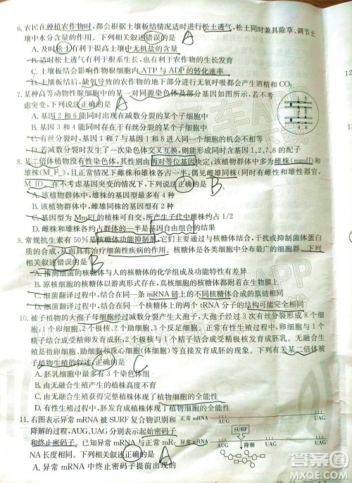 2022届福建金太阳高三12月联考生物试题及答案 2022届福建金太阳高三12月联考生物试题及答案