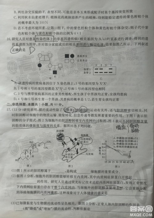 2022届福建金太阳高三12月联考生物试题及答案