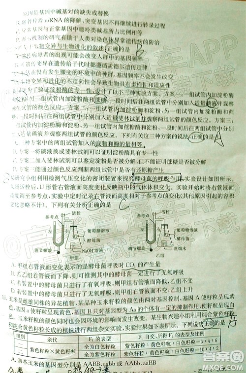 2022届福建金太阳高三12月联考生物试题及答案