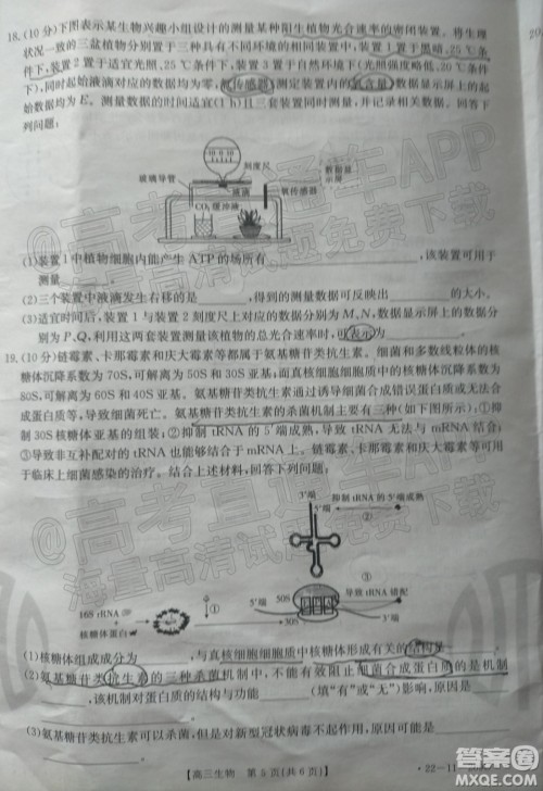 2022届福建金太阳高三12月联考生物试题及答案