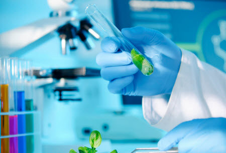 铭记历史,迎接挑战作文800字 关于铭记历史,迎接挑战议论文800字 铭记历史,迎接挑战作文800字 关于铭记历史,迎接挑战议论文800字