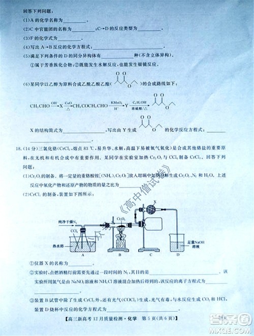 2022届九师联盟高三新高考12月质量检测湖北卷化学试题及答案