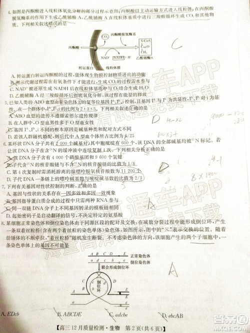 2022届九师联盟高三新高考12月质量检测全国卷生物试题及答案 2022届九师联盟高三新高考12月质量检测全国卷生物试题及答案