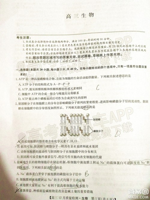 2022届九师联盟高三新高考12月质量检测全国卷生物试题及答案 2022届九师联盟高三新高考12月质量检测全国卷生物试题及答案