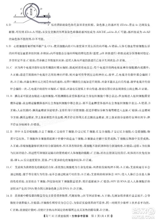 2022届九师联盟高三新高考12月质量检测全国卷生物试题及答案