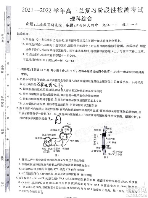 智慧上进2021-2022学年高三总复习阶段性检测考试理科综合试题及答案