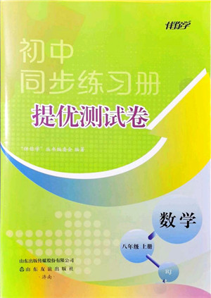 山东友谊出版社2021初中同步练习册提优测试卷八年级数学上册RJ人教版答案