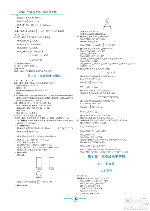 湖南教育出版社2021学法大视野七年级数学上册华东师大版答案