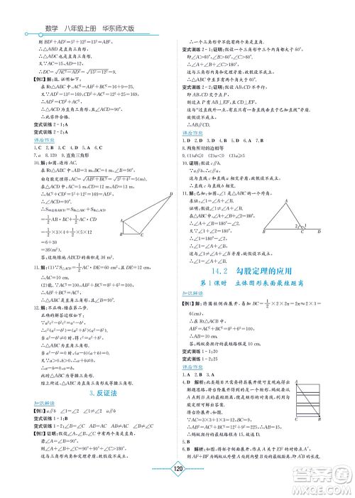 湖南教育出版社2021学法大视野八年级数学上册华东师大版答案