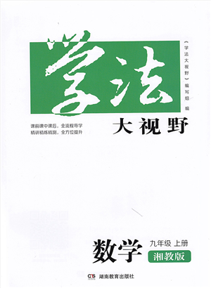 湖南教育出版社2021学法大视野九年级数学上册湘教版答案