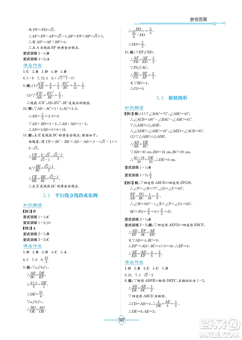 湖南教育出版社2021学法大视野九年级数学上册湘教版答案