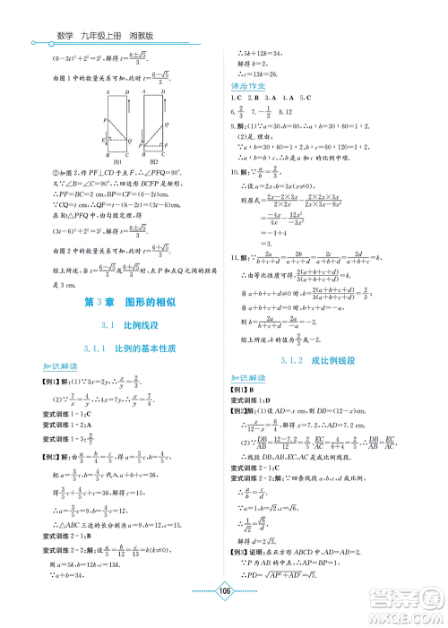 湖南教育出版社2021学法大视野九年级数学上册湘教版答案