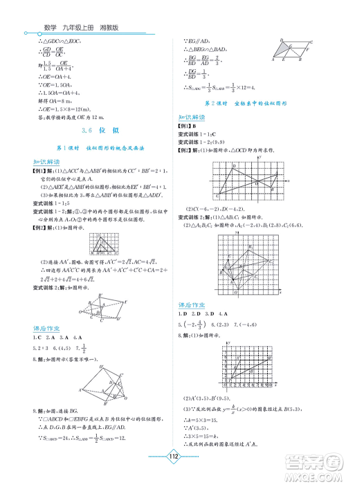 湖南教育出版社2021学法大视野九年级数学上册湘教版答案