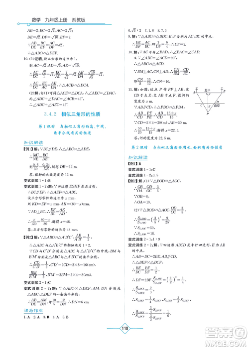 湖南教育出版社2021学法大视野九年级数学上册湘教版答案