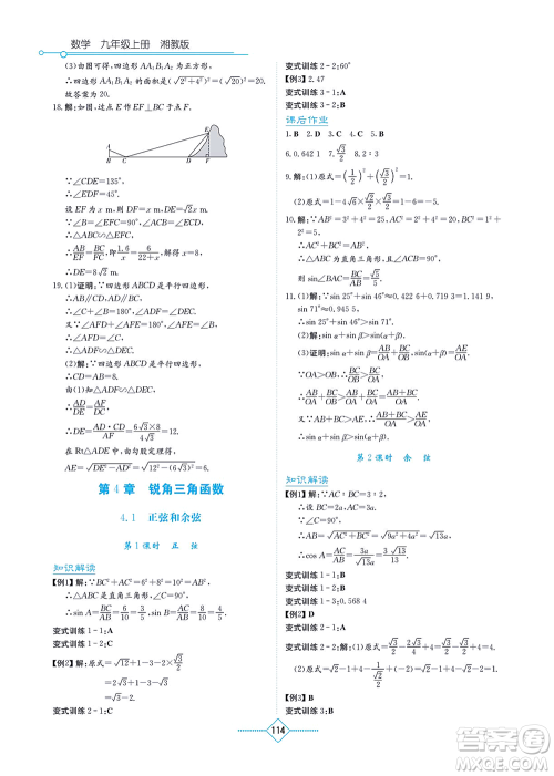 湖南教育出版社2021学法大视野九年级数学上册湘教版答案