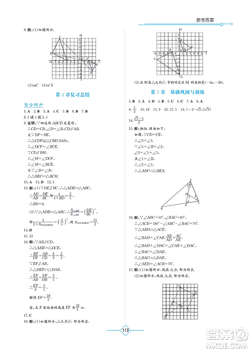 湖南教育出版社2021学法大视野九年级数学上册湘教版答案