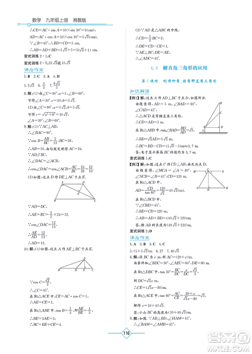 湖南教育出版社2021学法大视野九年级数学上册湘教版答案