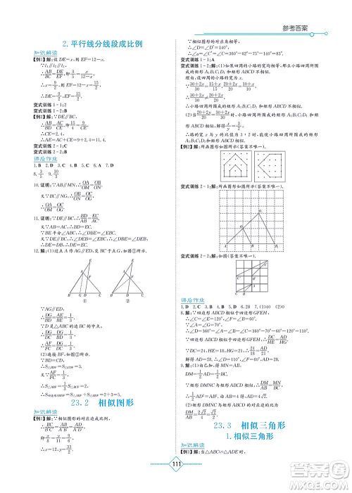 湖南教育出版社2021学法大视野九年级数学上册华东师大版答案