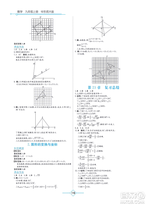 湖南教育出版社2021学法大视野九年级数学上册华东师大版答案