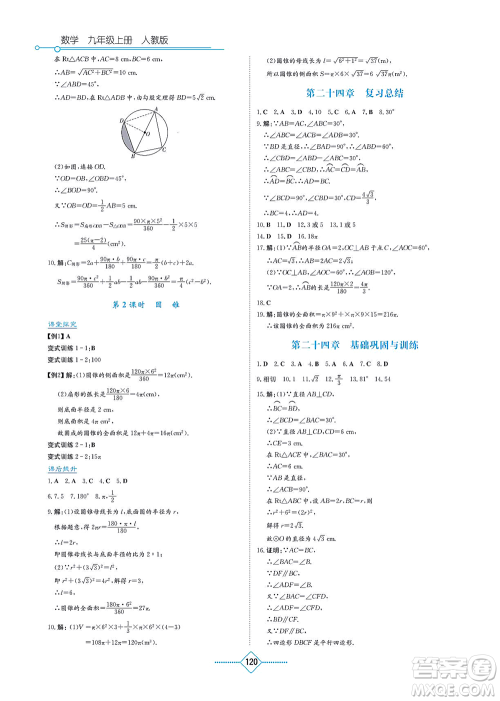 湖南教育出版社2021学法大视野九年级数学上册人教版答案