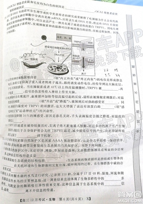 2022届福建百校联盟高三12月联考生物试题及答案 2022届福建百校联盟高三12月联考生物试题及答案