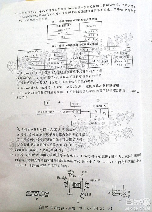 2022届福建百校联盟高三12月联考生物试题及答案 2022届福建百校联盟高三12月联考生物试题及答案