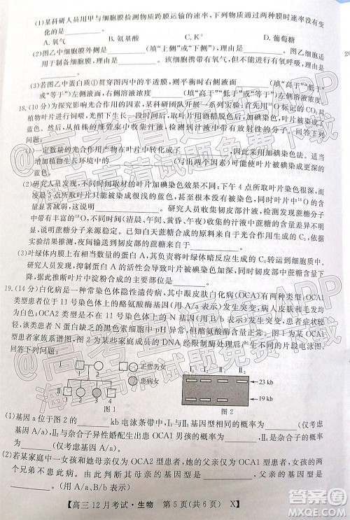 2022届福建百校联盟高三12月联考生物试题及答案 2022届福建百校联盟高三12月联考生物试题及答案