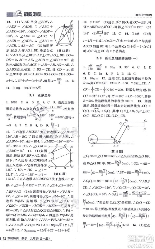 浙江人民出版社2021课时特训九年级数学全一册Z浙教版答案