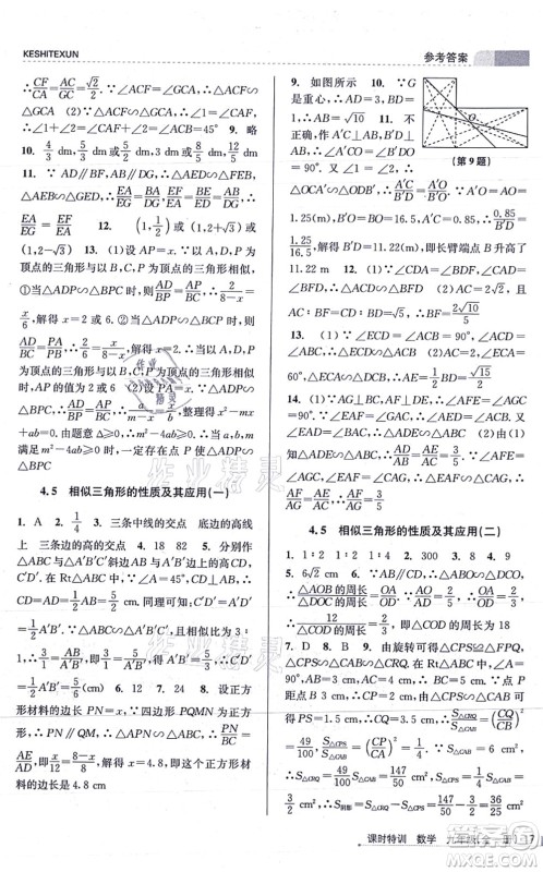 浙江人民出版社2021课时特训九年级数学全一册Z浙教版答案