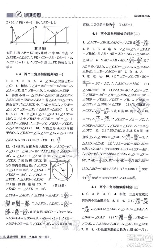 浙江人民出版社2021课时特训九年级数学全一册Z浙教版答案