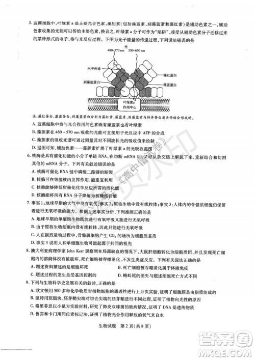 天一大联考2021-2022学年上高三年级名校联盟考试生物试题及答案