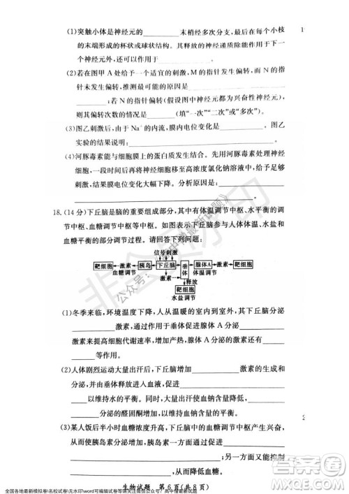 湖南名校联考联合体2021年秋季高二12月大联考生物试题及答案 湖南名校联考联合体2021年秋季高二12月大联考生物试题及答案