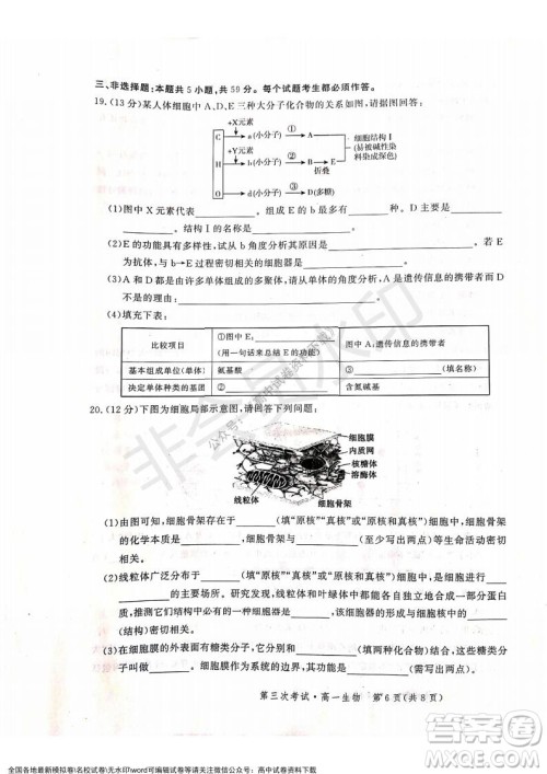 河北部分学校2021-2022上学期第三次月考高一生物试题及答案