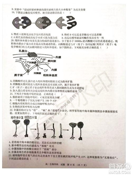 2021学年第一学期浙江省精诚联盟12月联考高一生物试题及答案