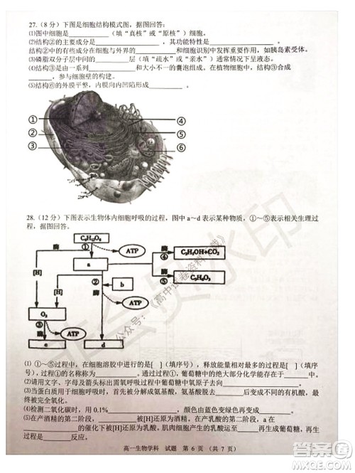2021学年第一学期浙江省精诚联盟12月联考高一生物试题及答案