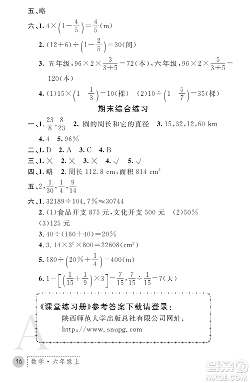 陕西师范大学出版总社2021课堂练习册六年级数学上册A人教版答案