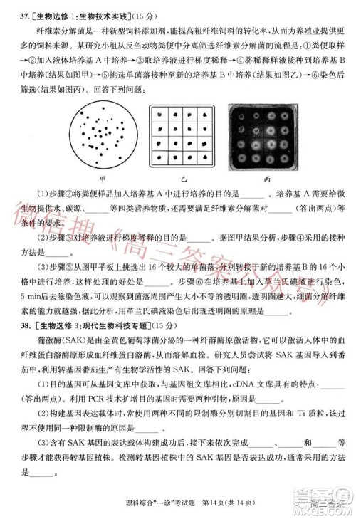 成都市2019级高中毕业班第一次诊断性检测理科综合试题及答案