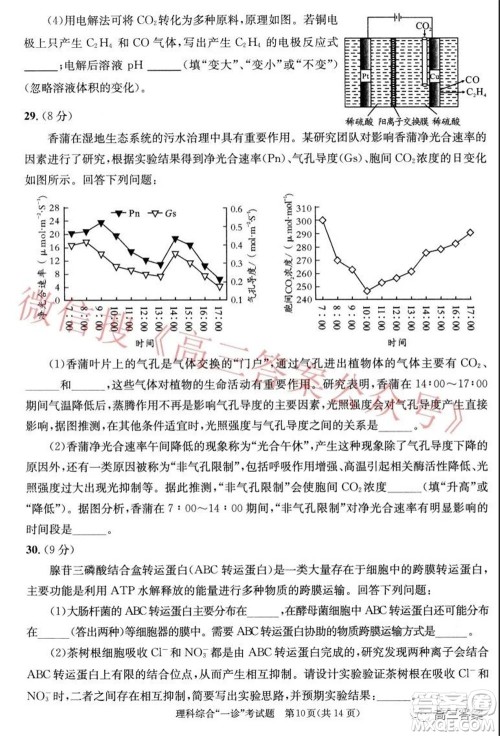 成都市2019级高中毕业班第一次诊断性检测理科综合试题及答案