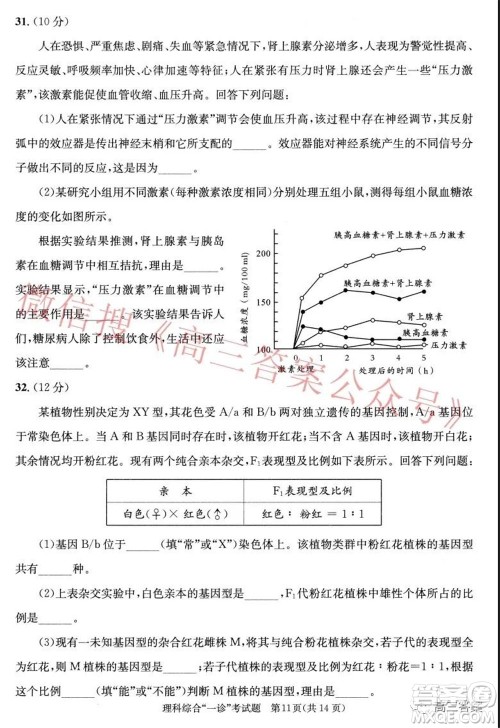 成都市2019级高中毕业班第一次诊断性检测理科综合试题及答案