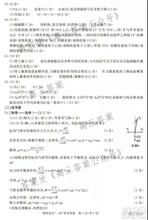 成都市2019级高中毕业班第一次诊断性检测理科综合试题及答案 成都市2019级高中毕业班第一次诊断性检测理科综合试题及答案