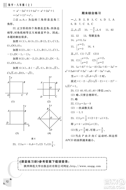 陕西师范大学出版总社2021课堂练习册八年级数学上册C北师大版答案