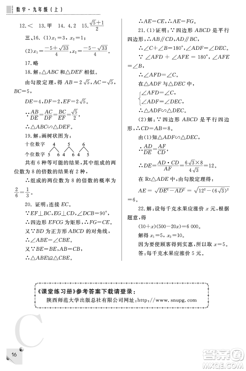 陕西师范大学出版总社2021课堂练习册九年级数学上册C北师大版答案